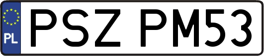 PSZPM53
