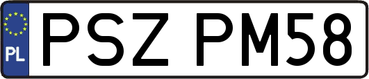 PSZPM58