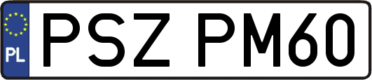 PSZPM60