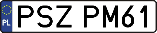 PSZPM61