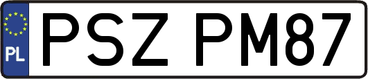 PSZPM87