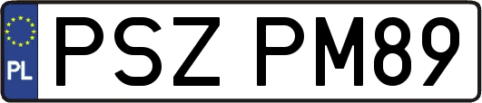 PSZPM89