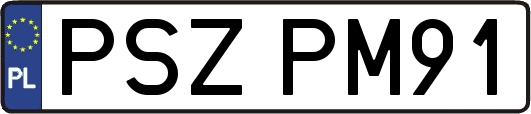 PSZPM91