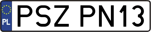 PSZPN13