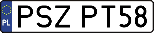 PSZPT58