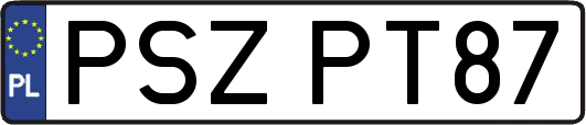 PSZPT87