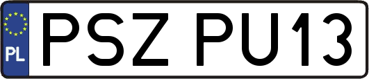 PSZPU13