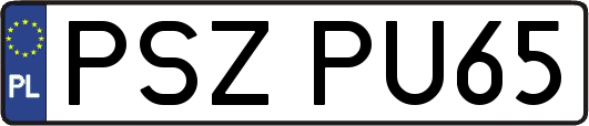 PSZPU65
