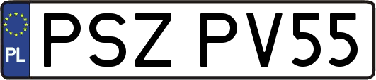 PSZPV55