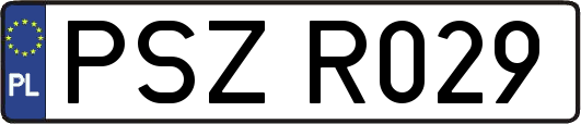 PSZR029