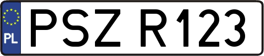 PSZR123