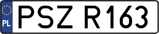 PSZR163