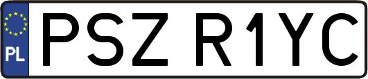 PSZR1YC