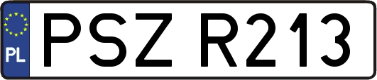 PSZR213