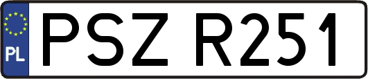PSZR251