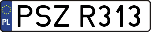 PSZR313