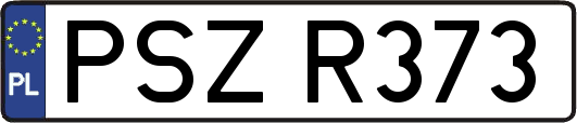 PSZR373