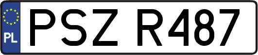PSZR487