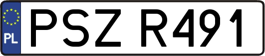 PSZR491