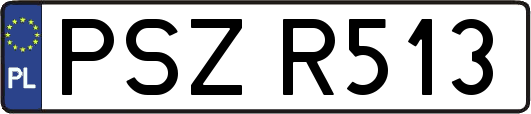 PSZR513