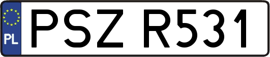 PSZR531