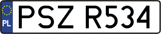 PSZR534
