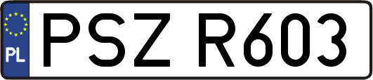 PSZR603