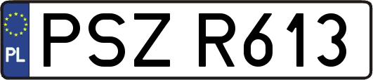 PSZR613