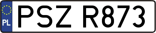 PSZR873