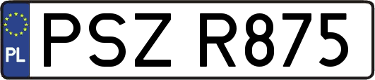 PSZR875