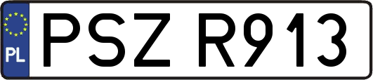 PSZR913