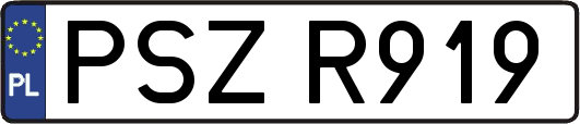 PSZR919