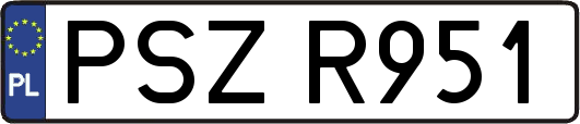 PSZR951
