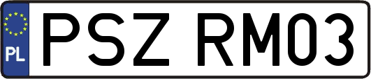 PSZRM03