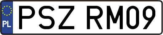 PSZRM09
