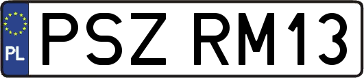 PSZRM13