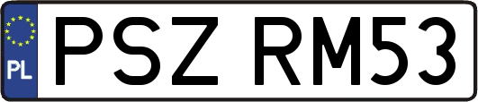 PSZRM53