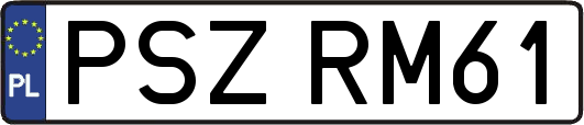 PSZRM61