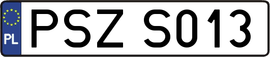 PSZS013