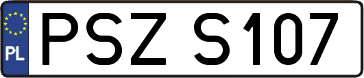 PSZS107