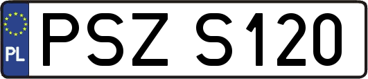 PSZS120