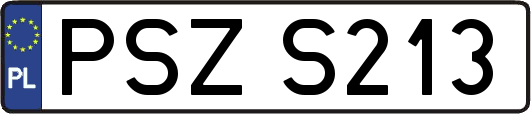 PSZS213