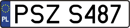 PSZS487