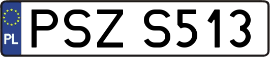 PSZS513