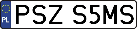 PSZS5MS