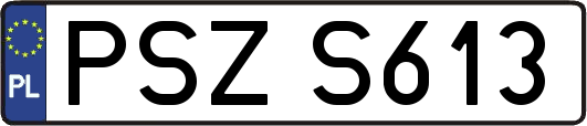 PSZS613