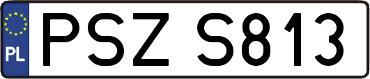 PSZS813