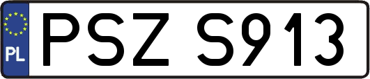 PSZS913