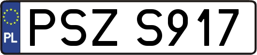 PSZS917