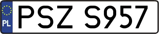 PSZS957